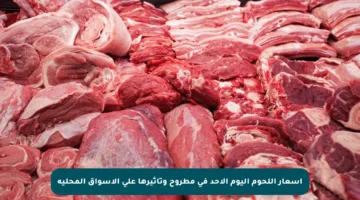 أسعار اللحوم اليوم الأحد في مطروح وتأثيرها على الأسواق المحلية